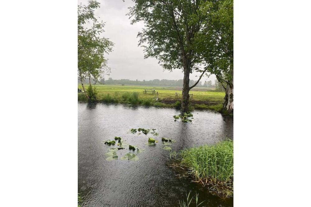 Photo of Outdoor in Ferndale