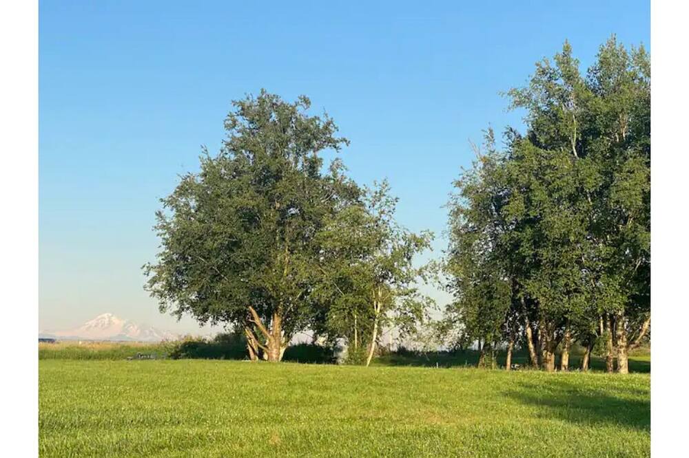 Photo of Outdoor in Ferndale