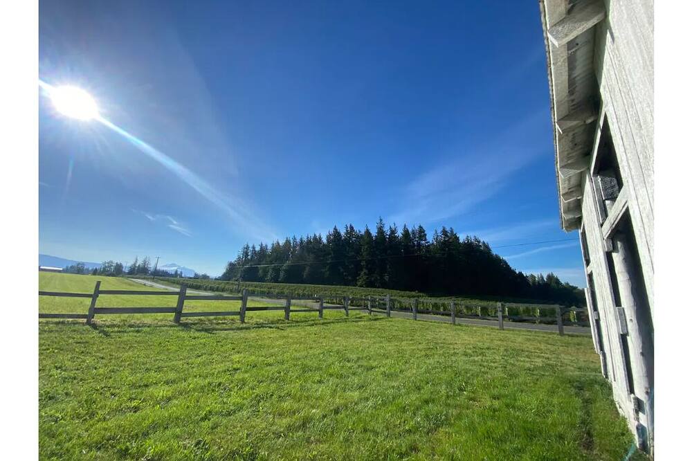 Photo of Outdoor in Ferndale