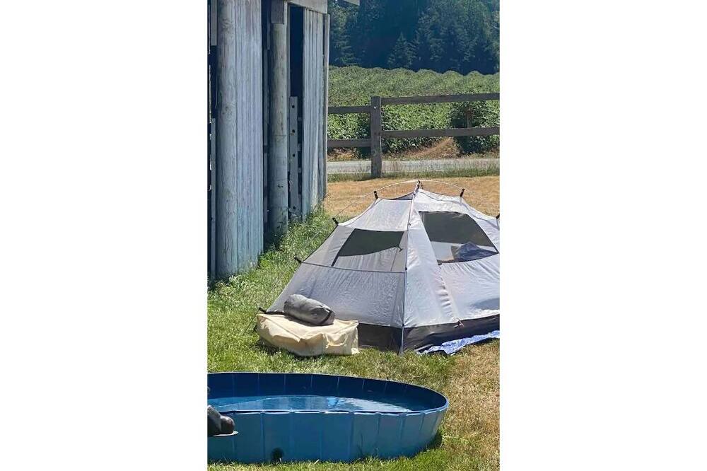Photo of Others in Ferndale