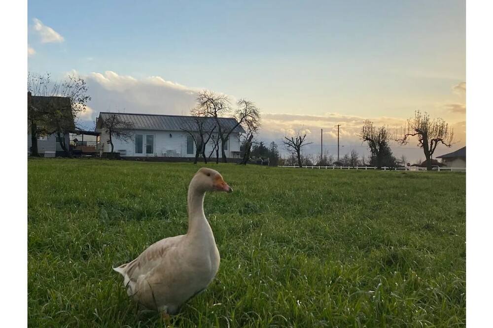 Photo of Outdoor in Ferndale