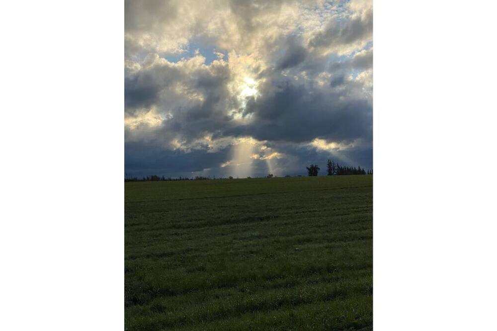 Photo of Outdoor in Ferndale