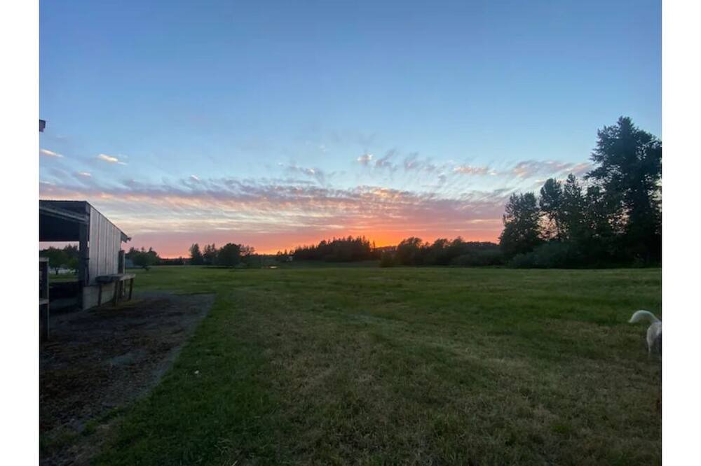Photo of Outdoor in Ferndale