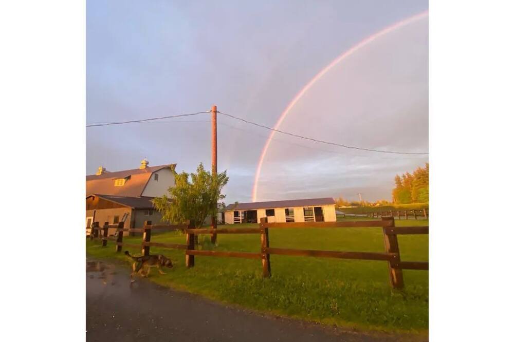 Photo of Outdoor in Ferndale