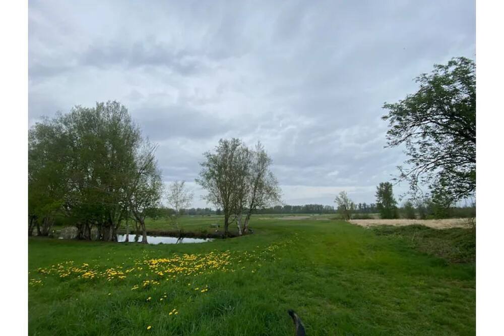 Photo of Outdoor in Ferndale