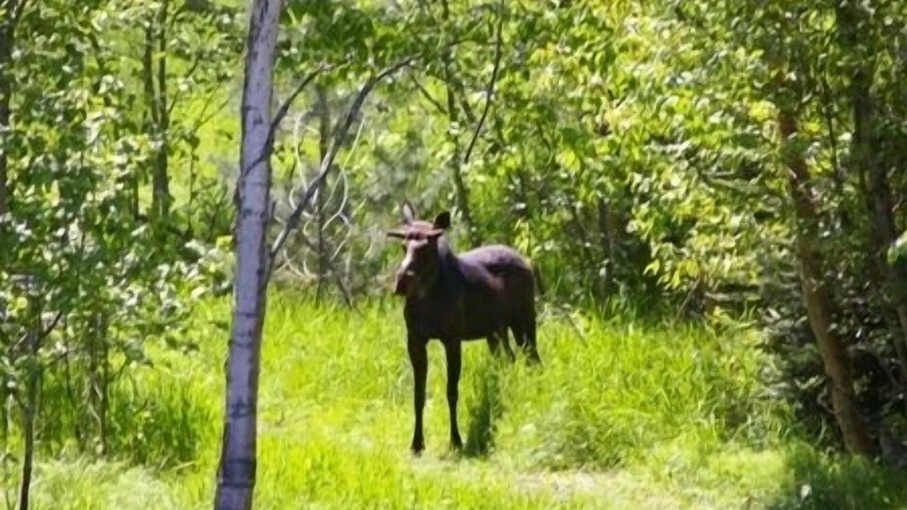 Photo of Outdoor in Dover Bay