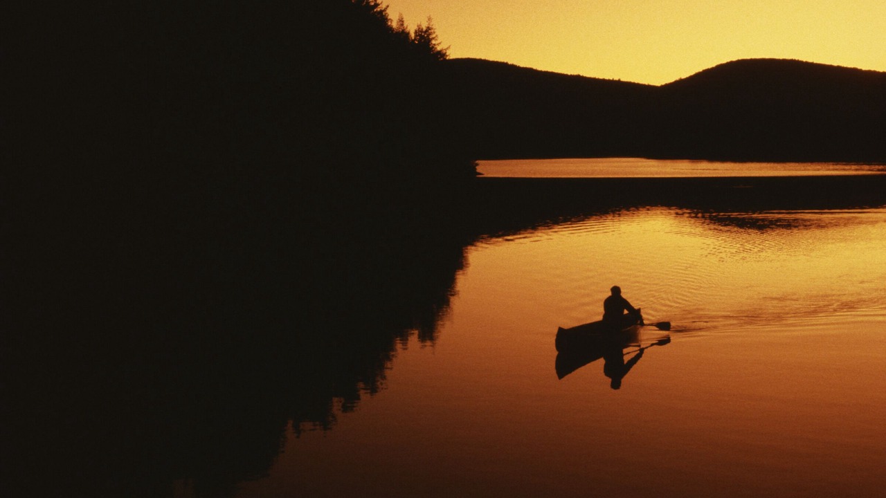 Photo of Others in Dover Bay