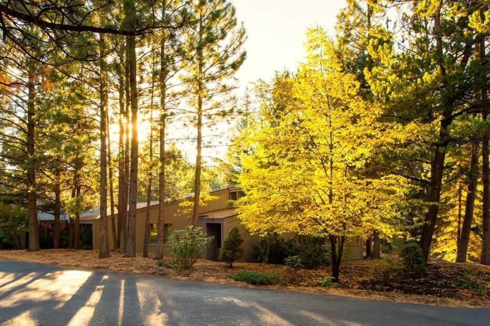 Photo of Outdoor in Sagewood