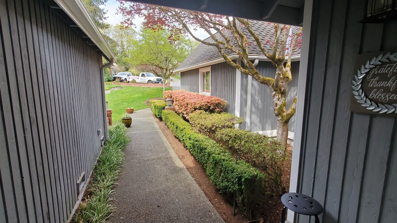 Photo of Outdoor in Sammamish