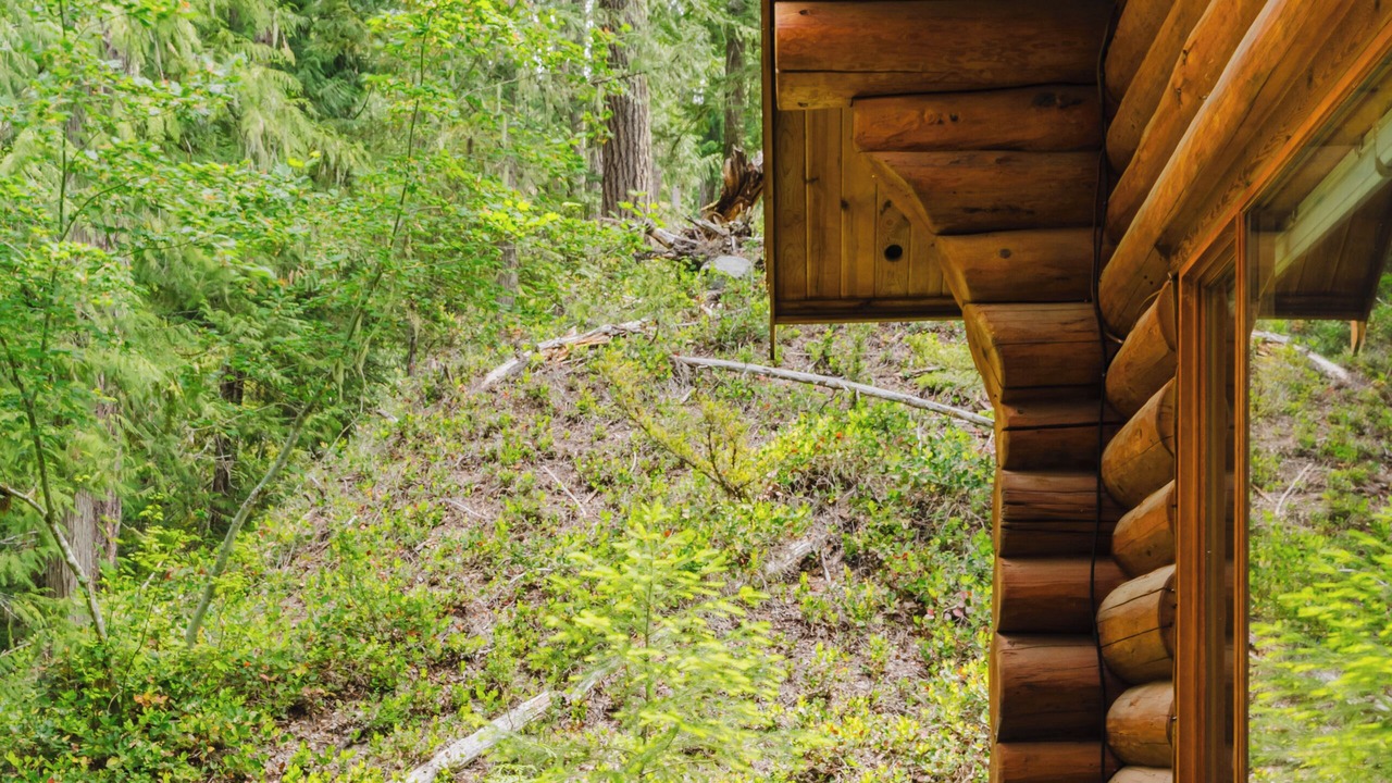Photo of Outdoor in Enumclaw