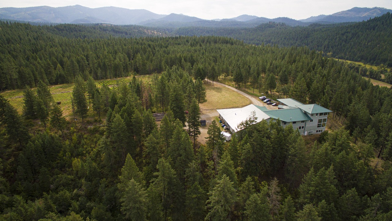 Photo of Outdoor in Chewelah