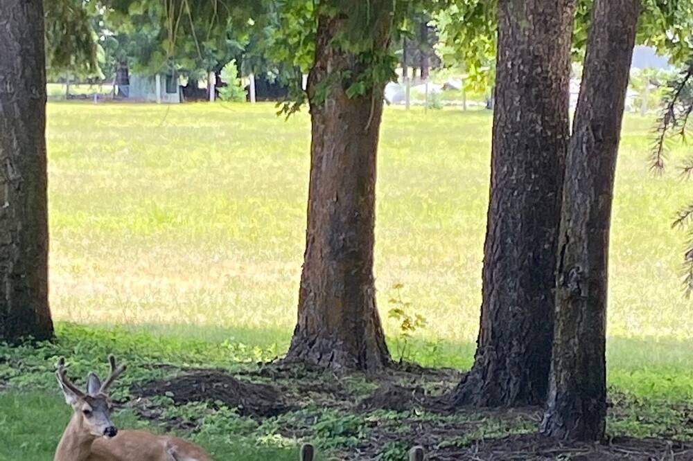 Photo of Outdoor in Leavenworth