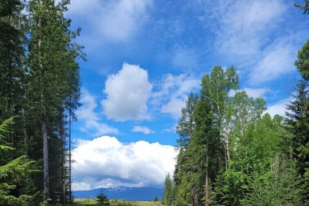 Photo of Others in Sandpoint