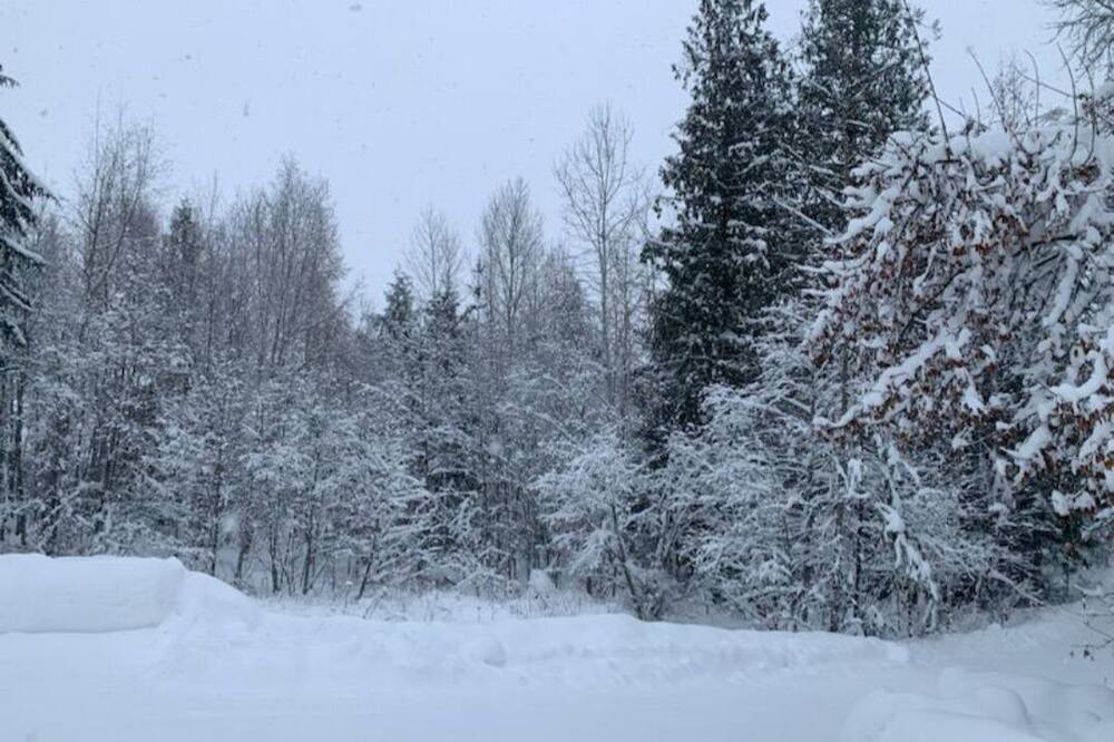 Photo of Outdoor in Sandpoint