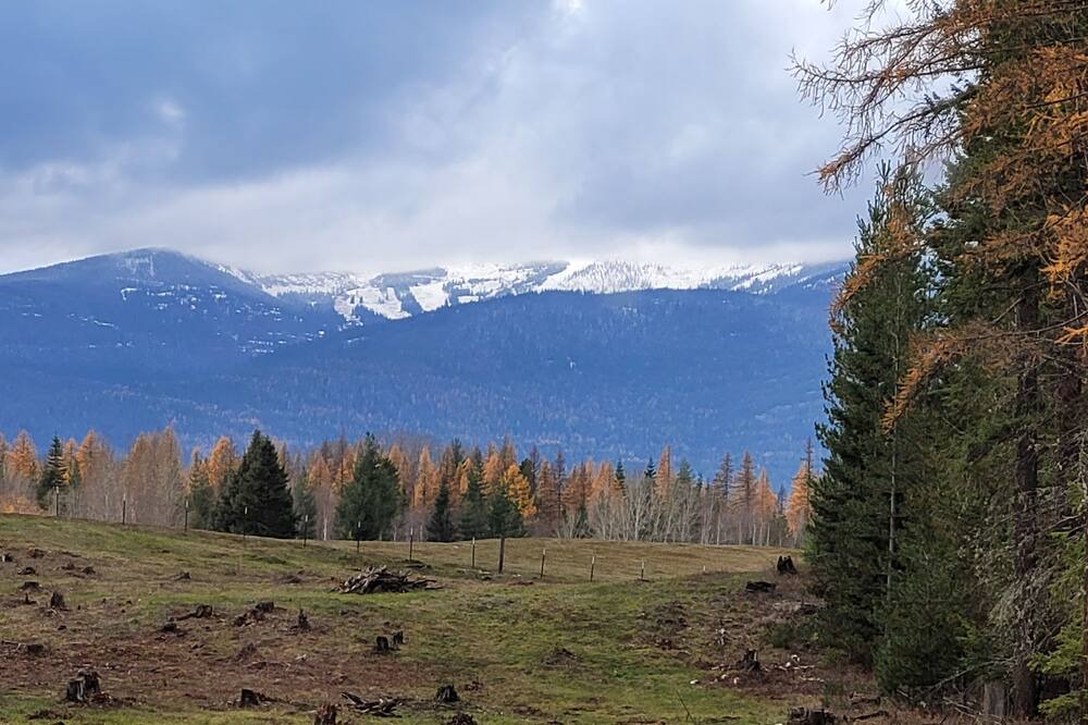 Photo of Others in Sandpoint