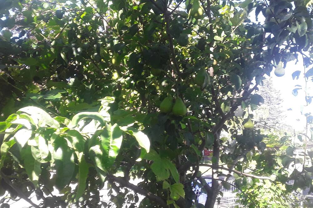 Photo of Outdoor in Jerome