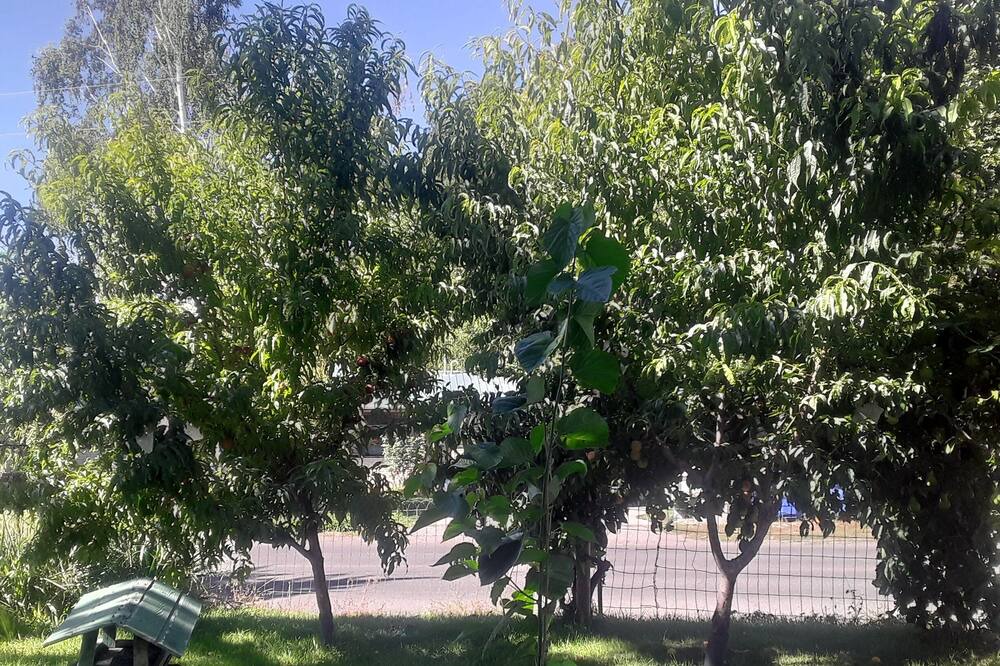 Photo of Outdoor in Jerome