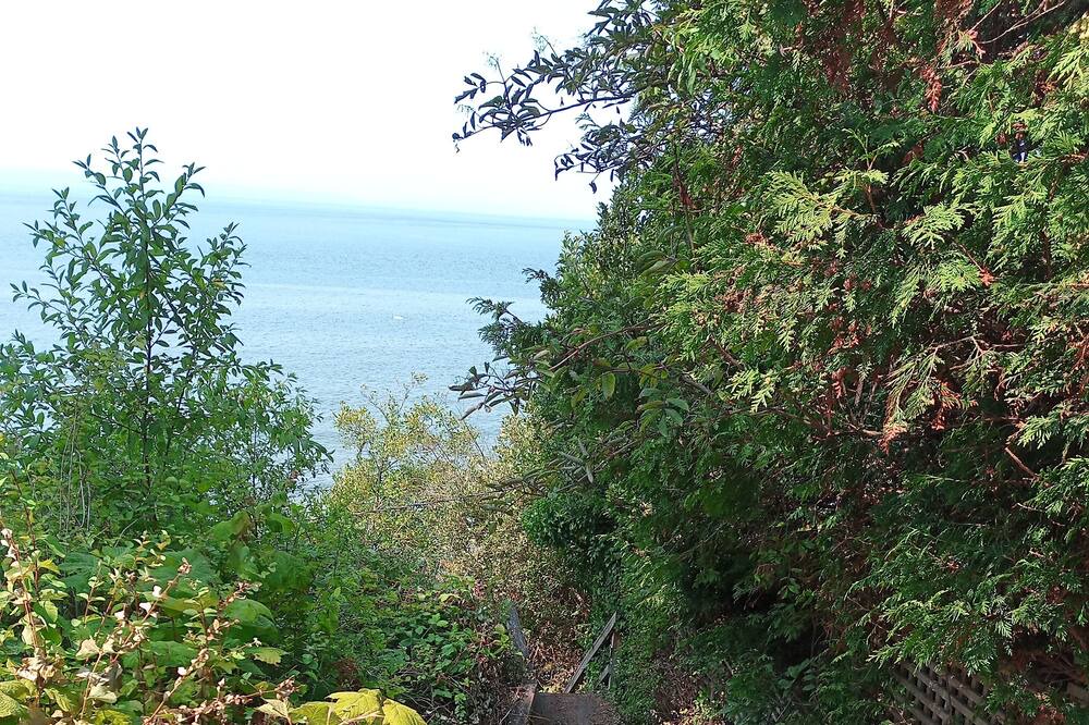 Photo of Outdoor in Point Roberts
