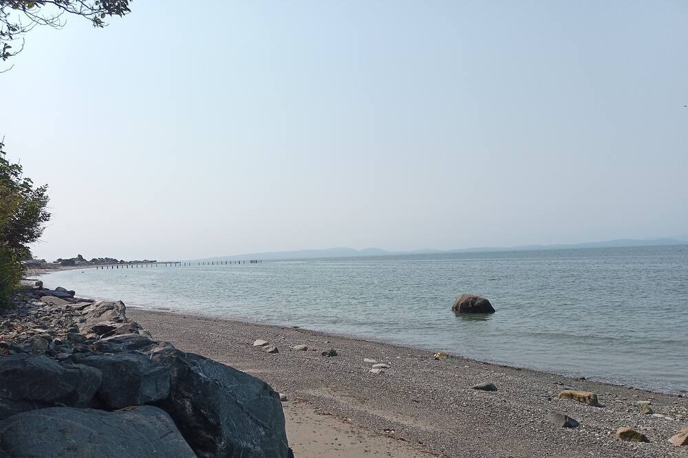 Photo of Others in Point Roberts