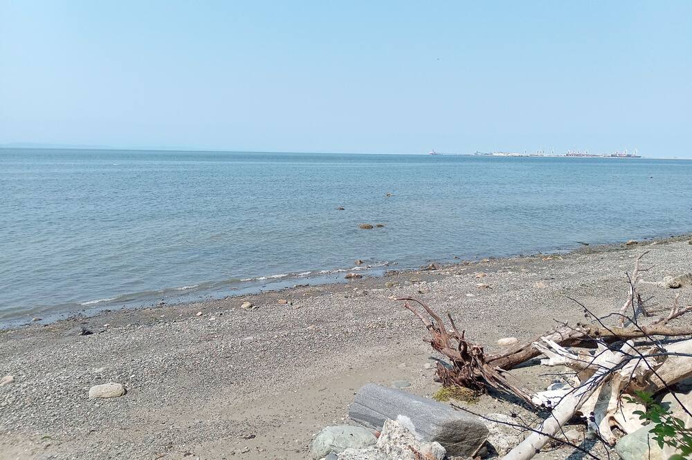 Photo of Others in Point Roberts