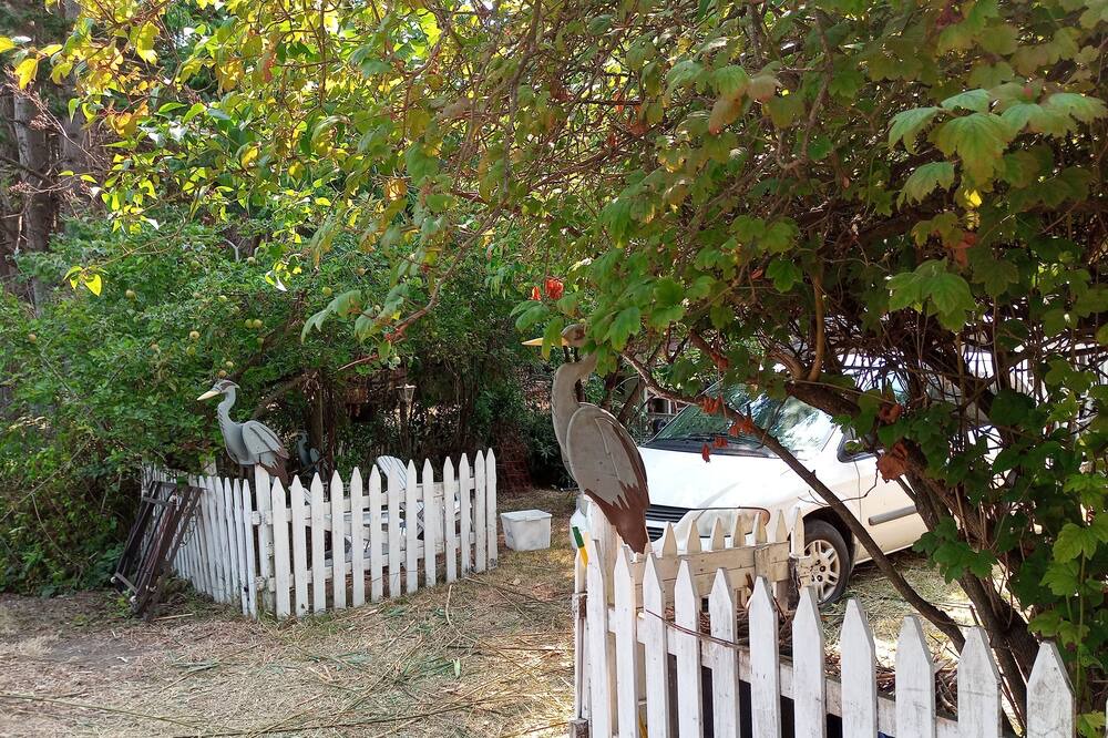 Photo of Others in Point Roberts