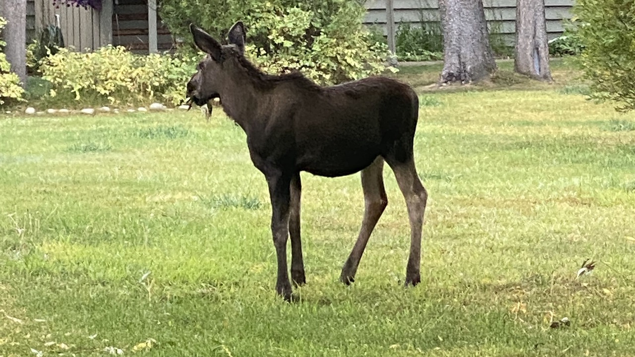 Photo of Outdoor in Jackson