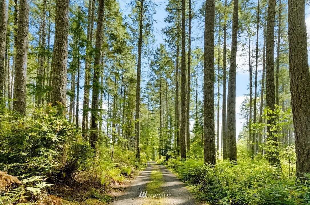 Photo of Outdoor in Allyn-Grapeview