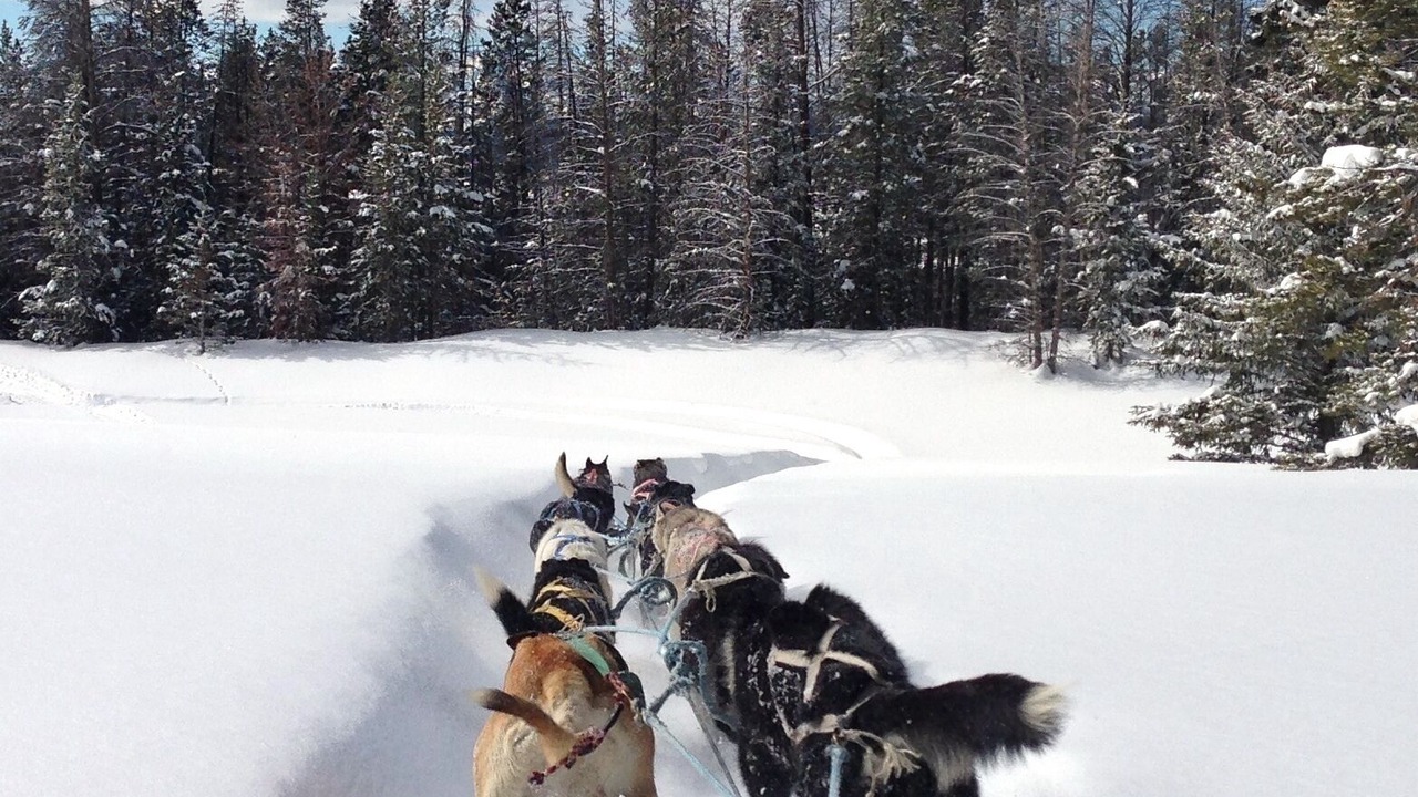 Photo of Others in Teton Village