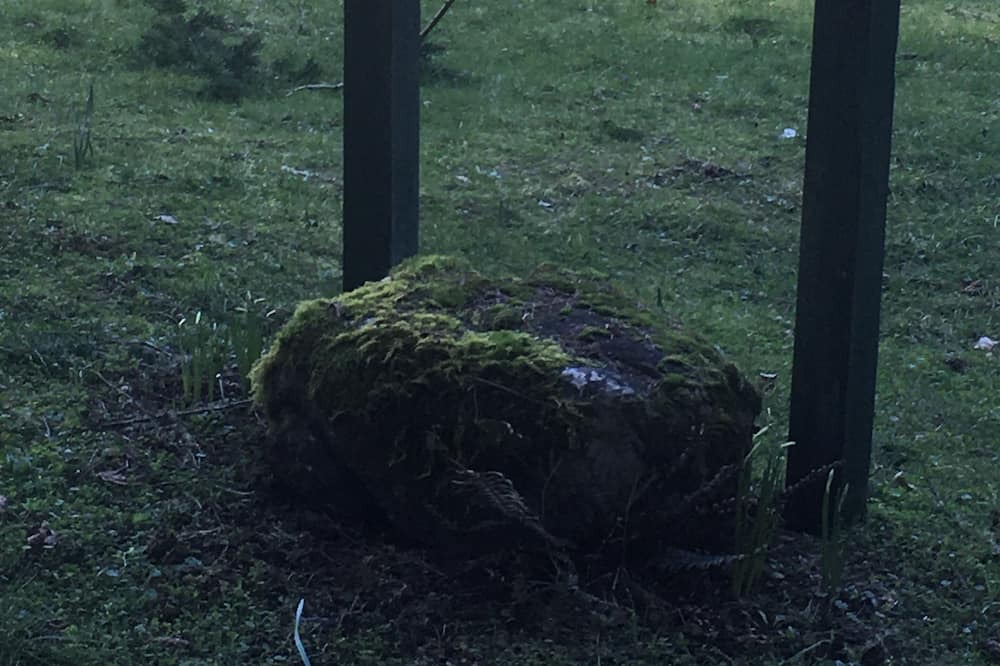 Photo of Outdoor in Anderson Island