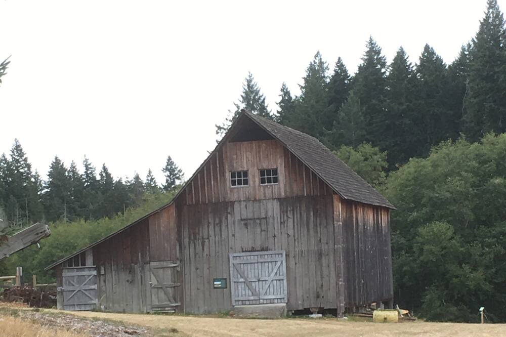 Photo of Outdoor in Anderson Island