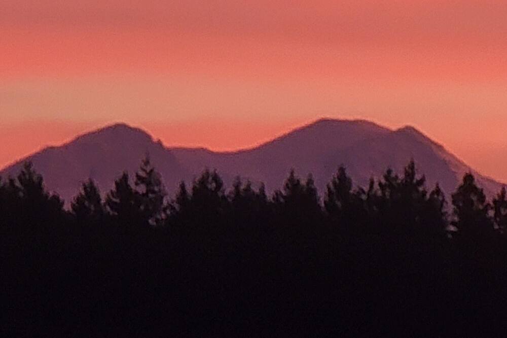 Photo of Others in Lewis County