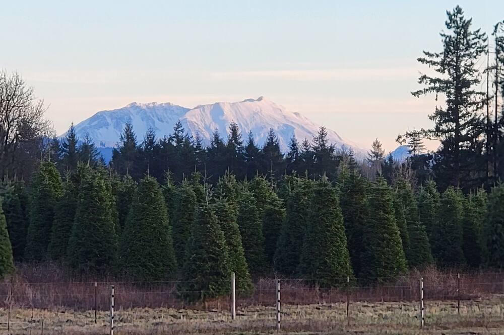Photo of Outdoor in Lewis County