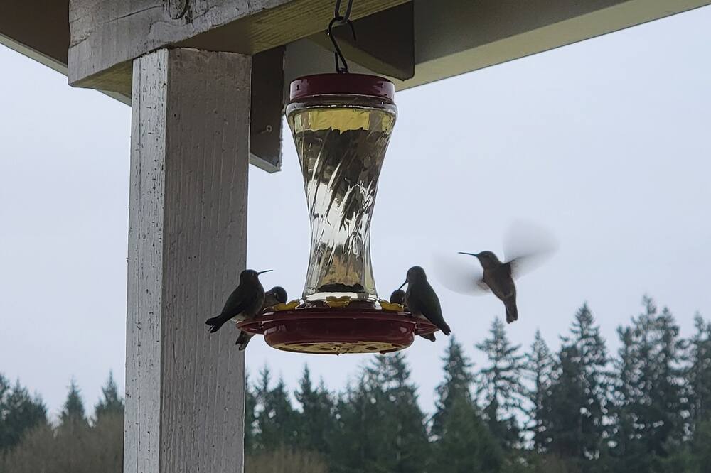 Photo of Others in Lewis County
