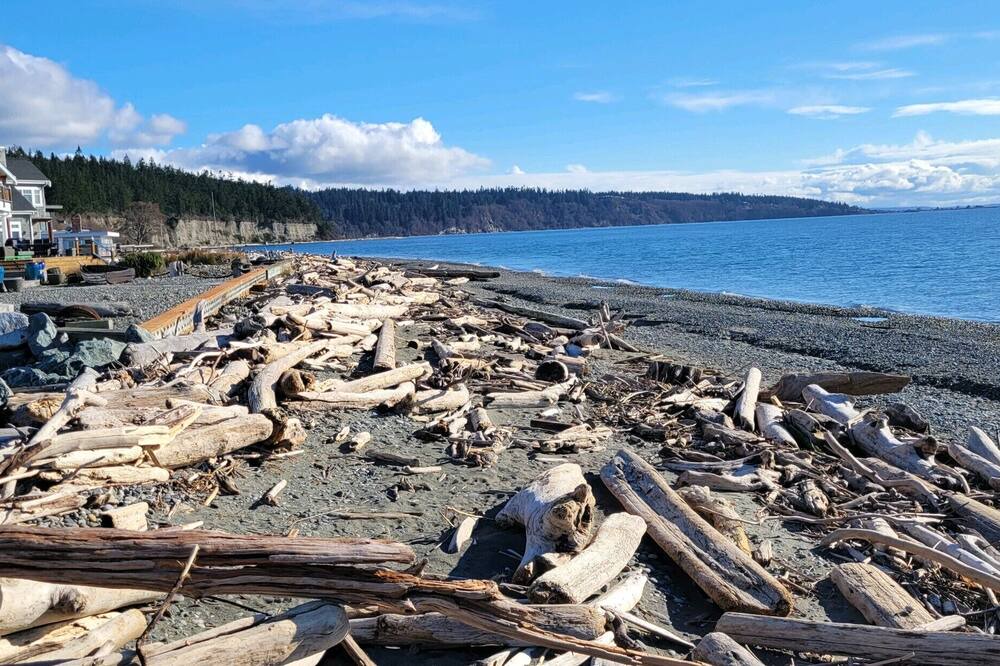 Photo of Others in Lagoon Point