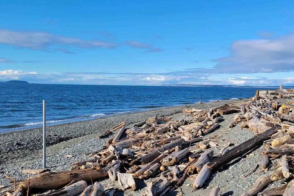 Photo of Others in Lagoon Point