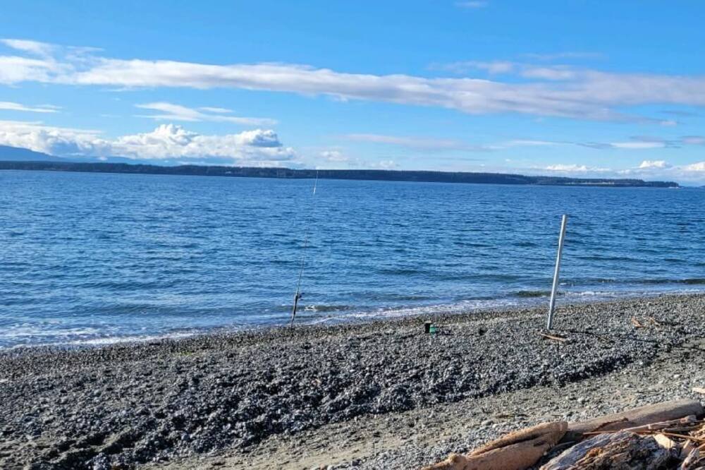 Photo of Others in Lagoon Point