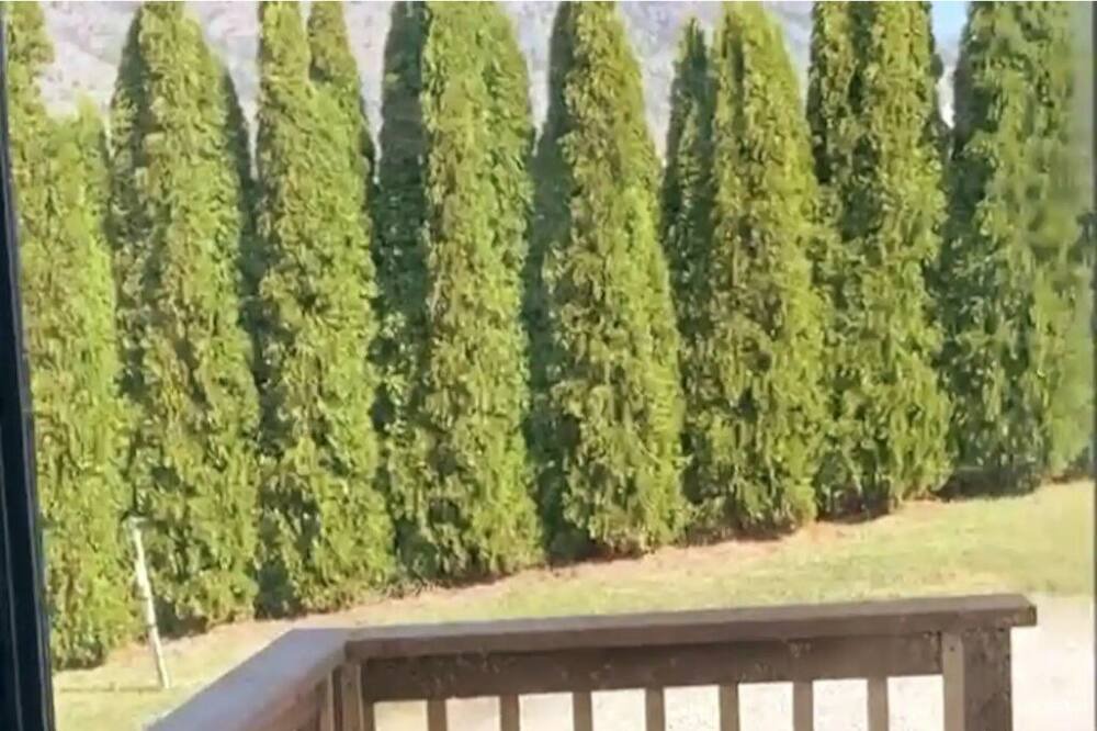 Photo of Others in Manson