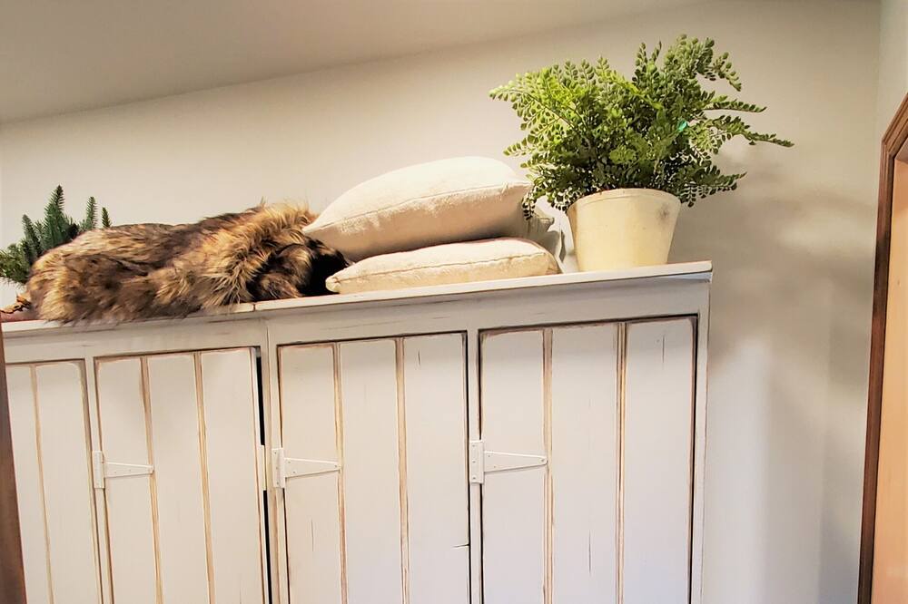 Photo of Bedroom in Packwood