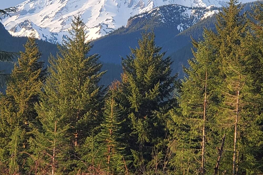 Photo of Others in Packwood