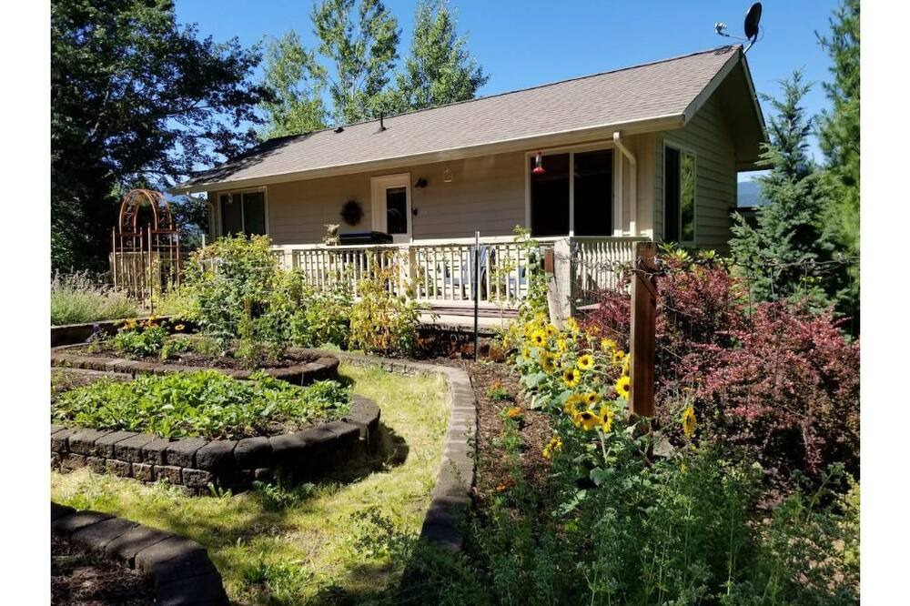 Photo of Outdoor in Packwood