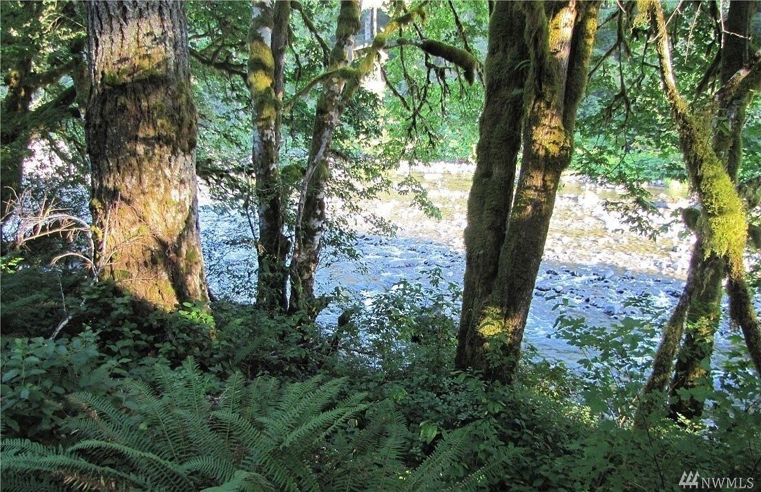 Photo of Outdoor in Beaver