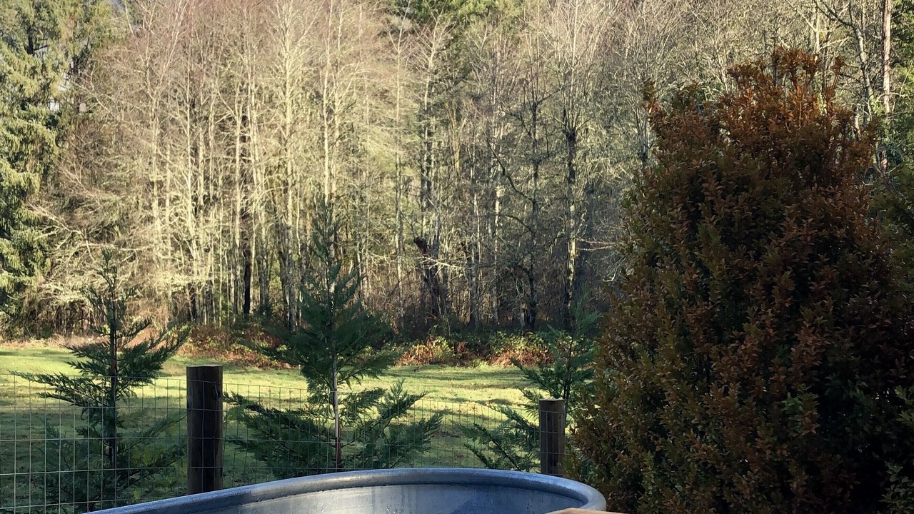 Photo of Others in North Bend