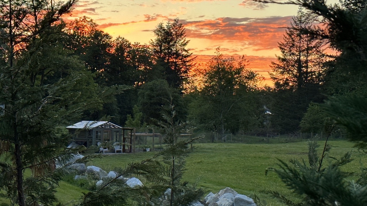 Photo of Outdoor in North Bend