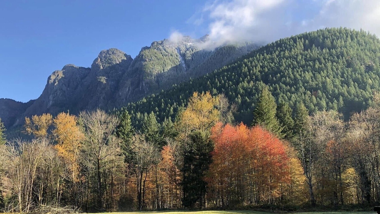 Photo of Outdoor in North Bend