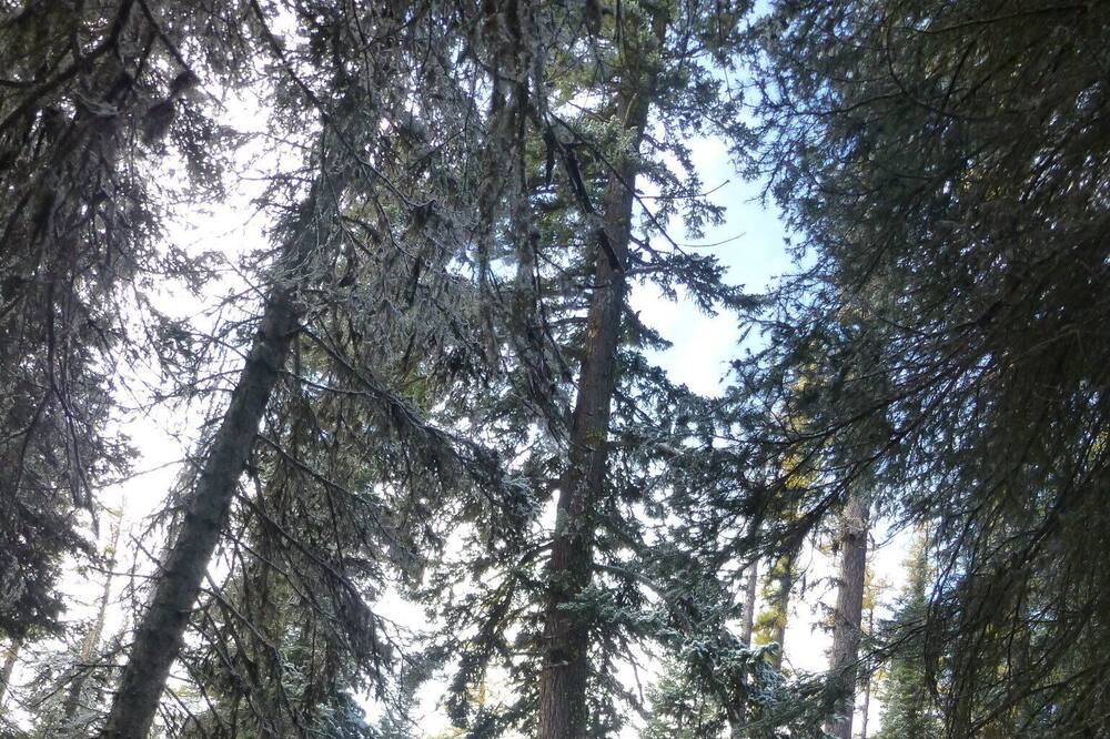 Photo of Outdoor in Ellensburg