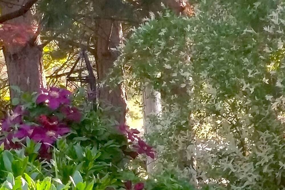 Photo of Outdoor in Ellensburg