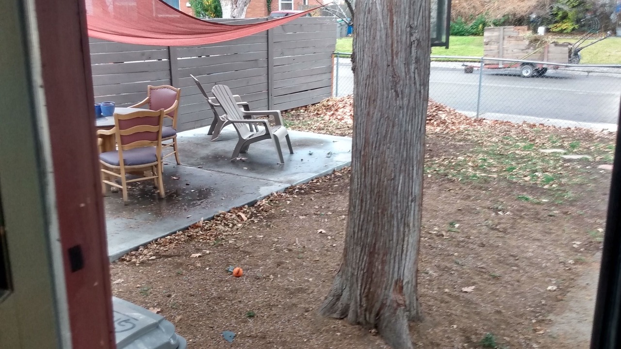 Photo of Outdoor in East End