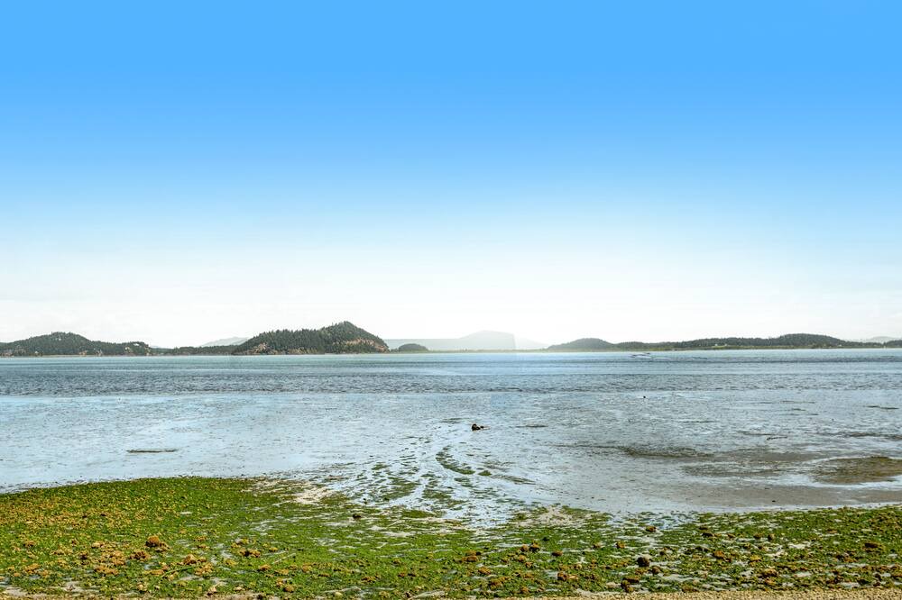 Photo of Others in Oak Harbor