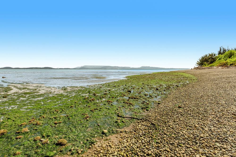 Photo of Others in Oak Harbor