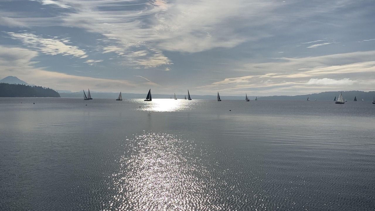 Photo of Others in Three Tree Point